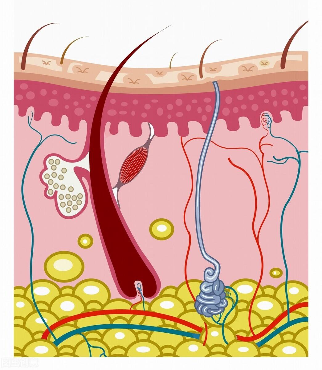 男士保湿补水控油推荐排名第一,男士控油保湿留香平价推荐