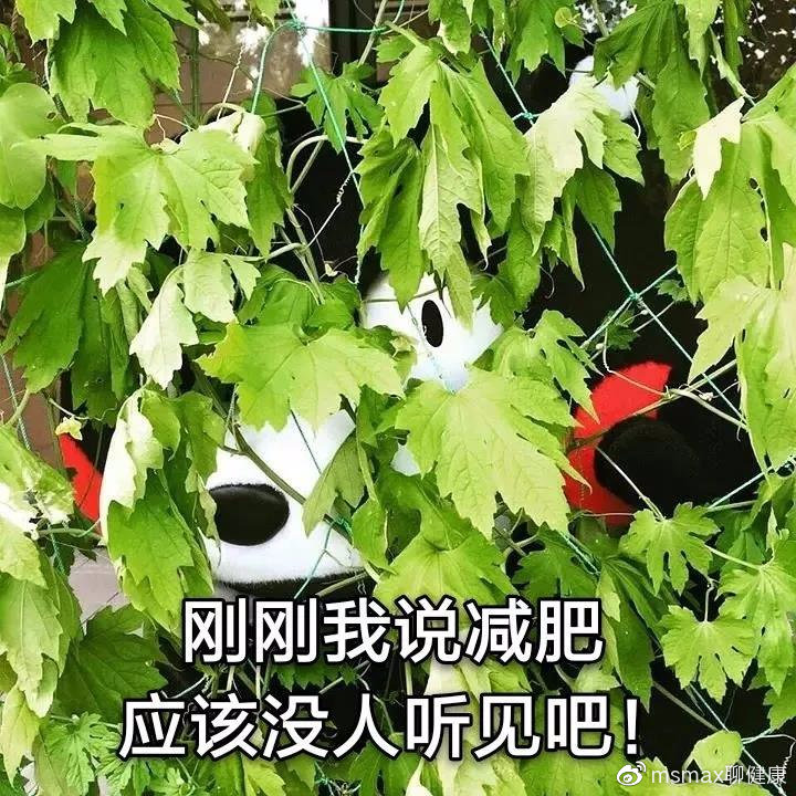 哥本哈根减肥法危害太可怕,哥本哈根减肥法骗局