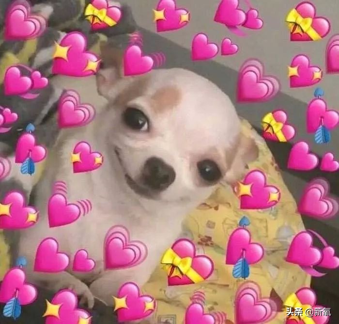 张柏芝最崩溃的时刻,张柏芝连续16天没醒