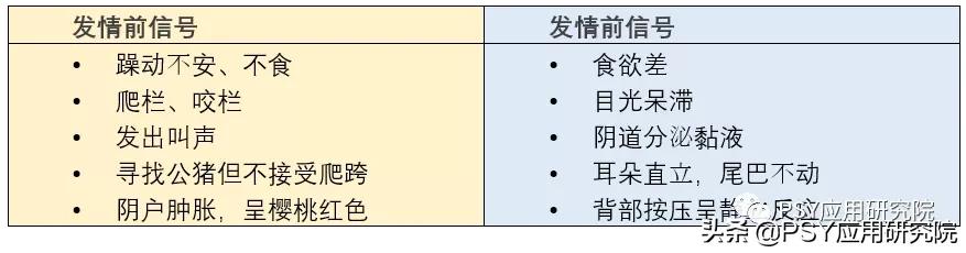 我家母猪下崽7天一点奶都没了,我家母猪117天了还不下崽怎么回事