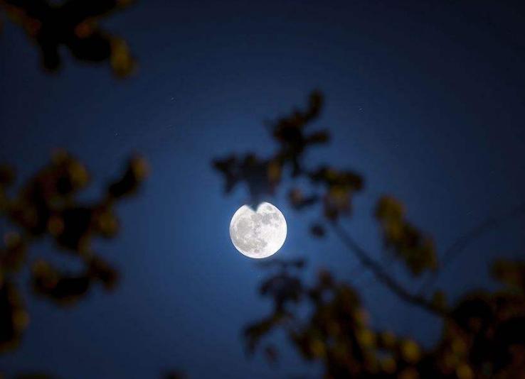 古诗鉴赏七月诗经,描写七月十五月亮的诗