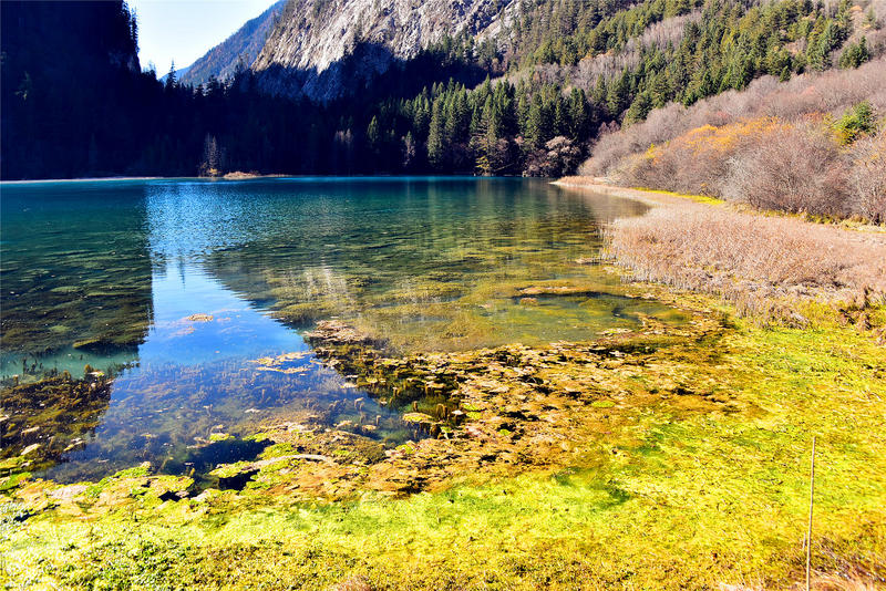 置身于童话中的九寨沟,畅游人间仙境黄龙九寨沟七日游