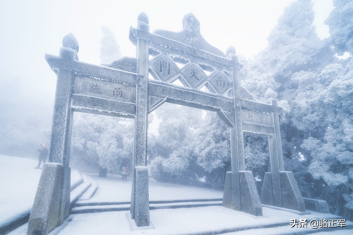 鍗楄僵灏忚鍏ㄩ泦鍏嶈垂闃呰,鍗楄僵浼犲鏁呬簨