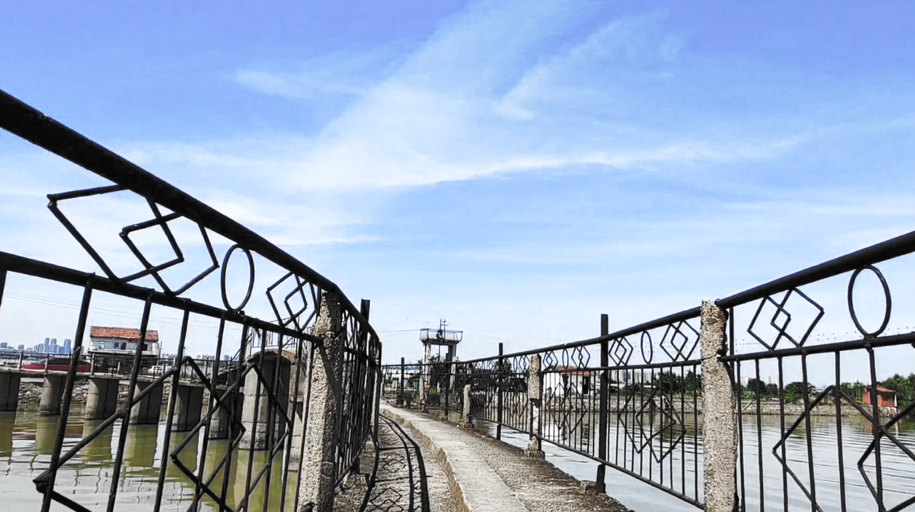 武汉江夏区汤逊湖湿地公园,江夏汤逊湖美景