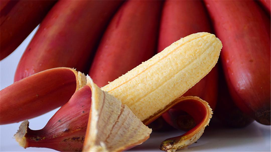 这些世界顶级水果吃过的都是土豪,全世界十大最贵的顶级水果