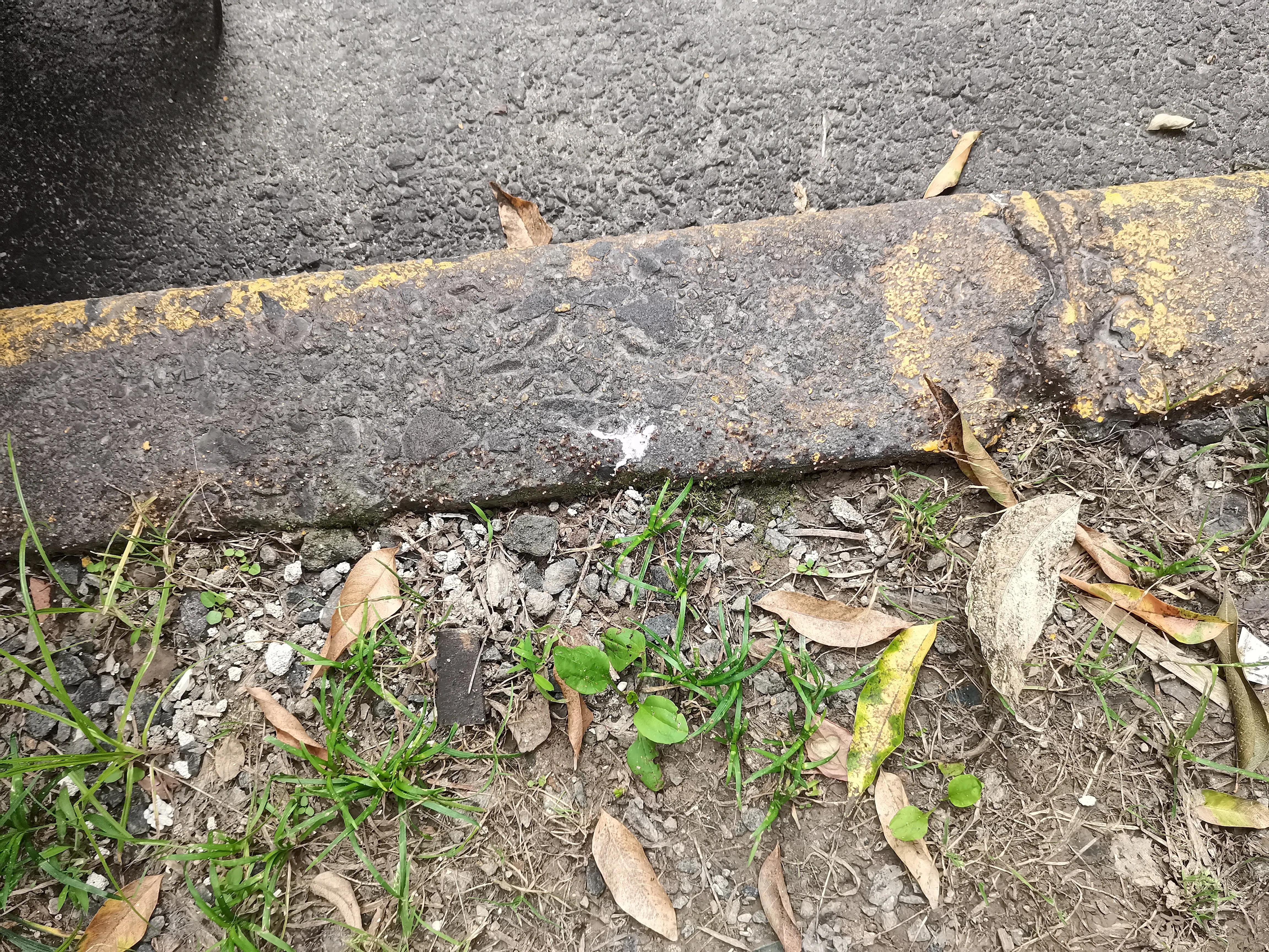 小蚂蚁搬家亲子运动,小蚂蚁搬家故事大全