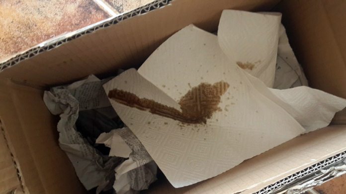 灞辩敯閿呭ソ杩樻槸闄堟灊璁板ソ,鏃ユ湰灞辩敯閿呭拰闄堟灊璁板摢涓ソ