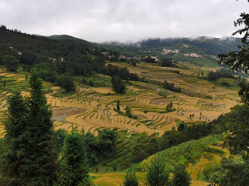 越南老街离河口多远,走进云南河口口岸看越南老街