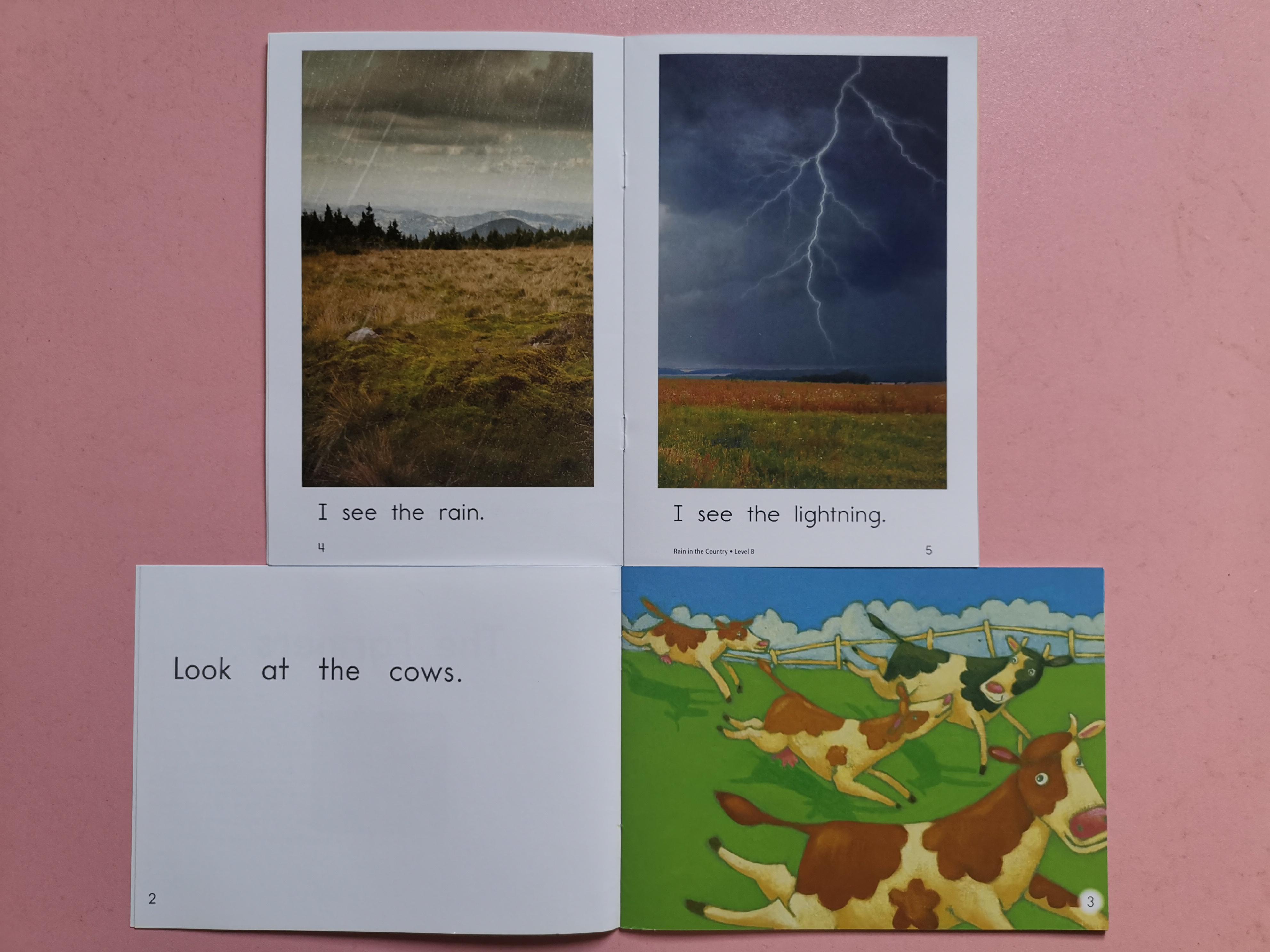 最终也给心宝入手了RAZ