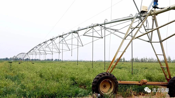 45万奈曼人的名片，太漂亮了！除了中华麦饭石你还知多少？