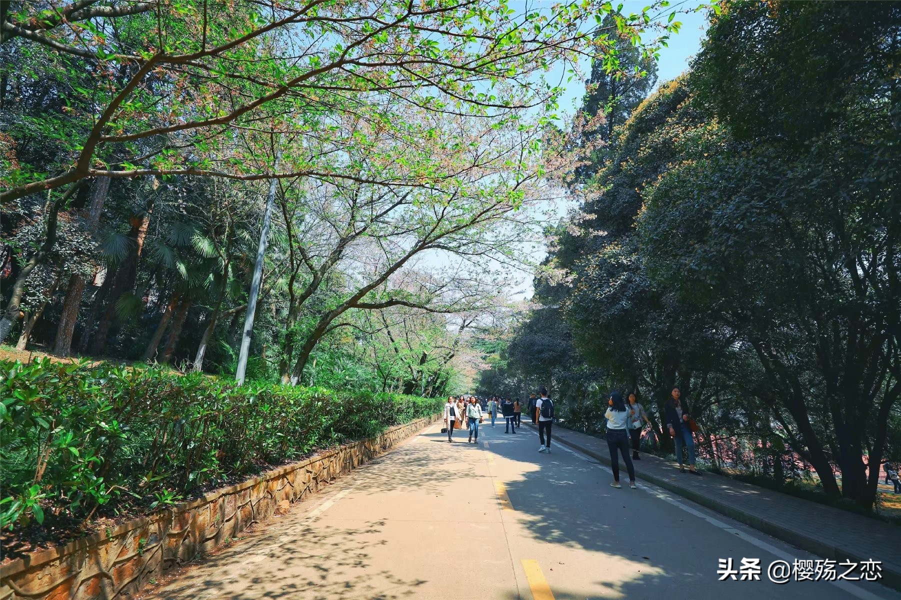 我国唯一建在5a级景区的大学,哪所大学是5a级景区