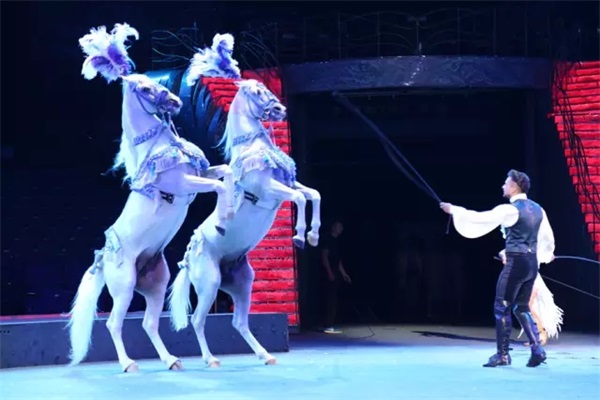 梦见马奔跑是什么预兆吉凶,梦到马是什么兆头周公解梦