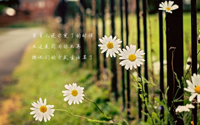 单身女性内分泌失调怎么解决,50岁单身女性怎样解决心理问题