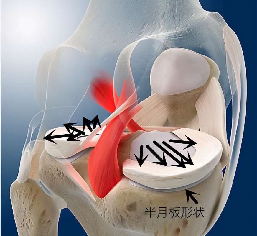 膝盖一直痛是什么病,膝盖一直受伤代表什么