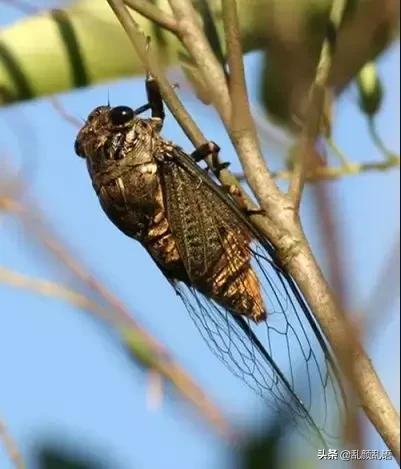 邹平满满的回忆,邹平尘封记忆视频