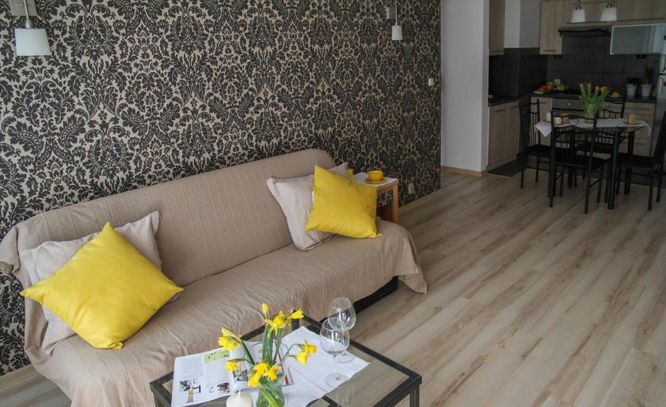 室友搞卫生洗了个拖把，被我赶走了