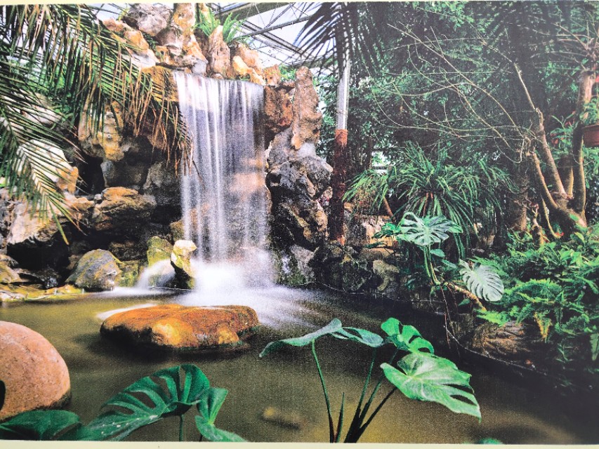 南通洲际绿博园春节免费吗,南通洲际绿博园有哪些免费项目