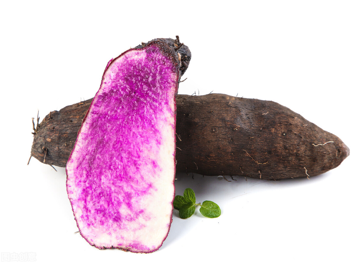 农村最新种植致富项目名单,农村致富种植好项目