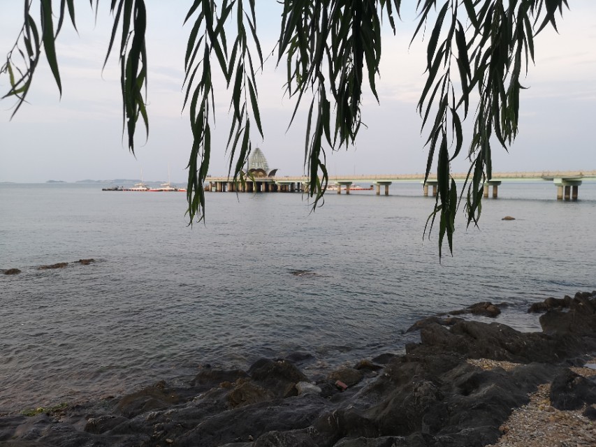 烟台真的好吗,烟台真的是一个适合宜居的城市