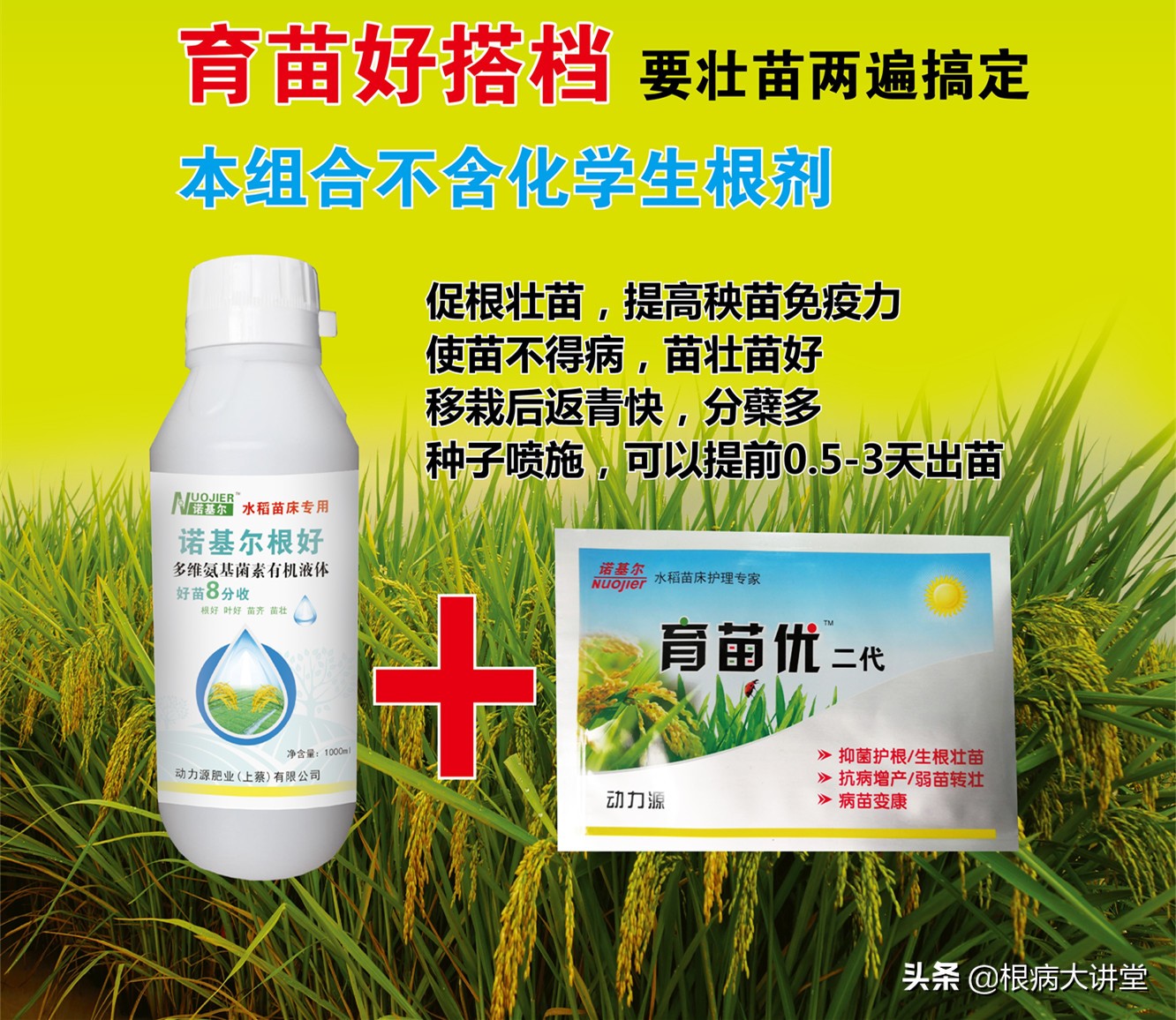 诺基尔:立枯病综合防治技术及治疗药剂大全,选对药很关键?