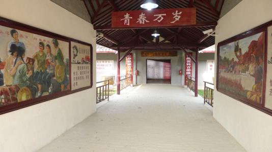 盐城大丰农场上海,盐城大丰生态农场