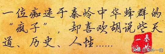 韩愈的真实身世,韩愈一个孤儿的奋斗史