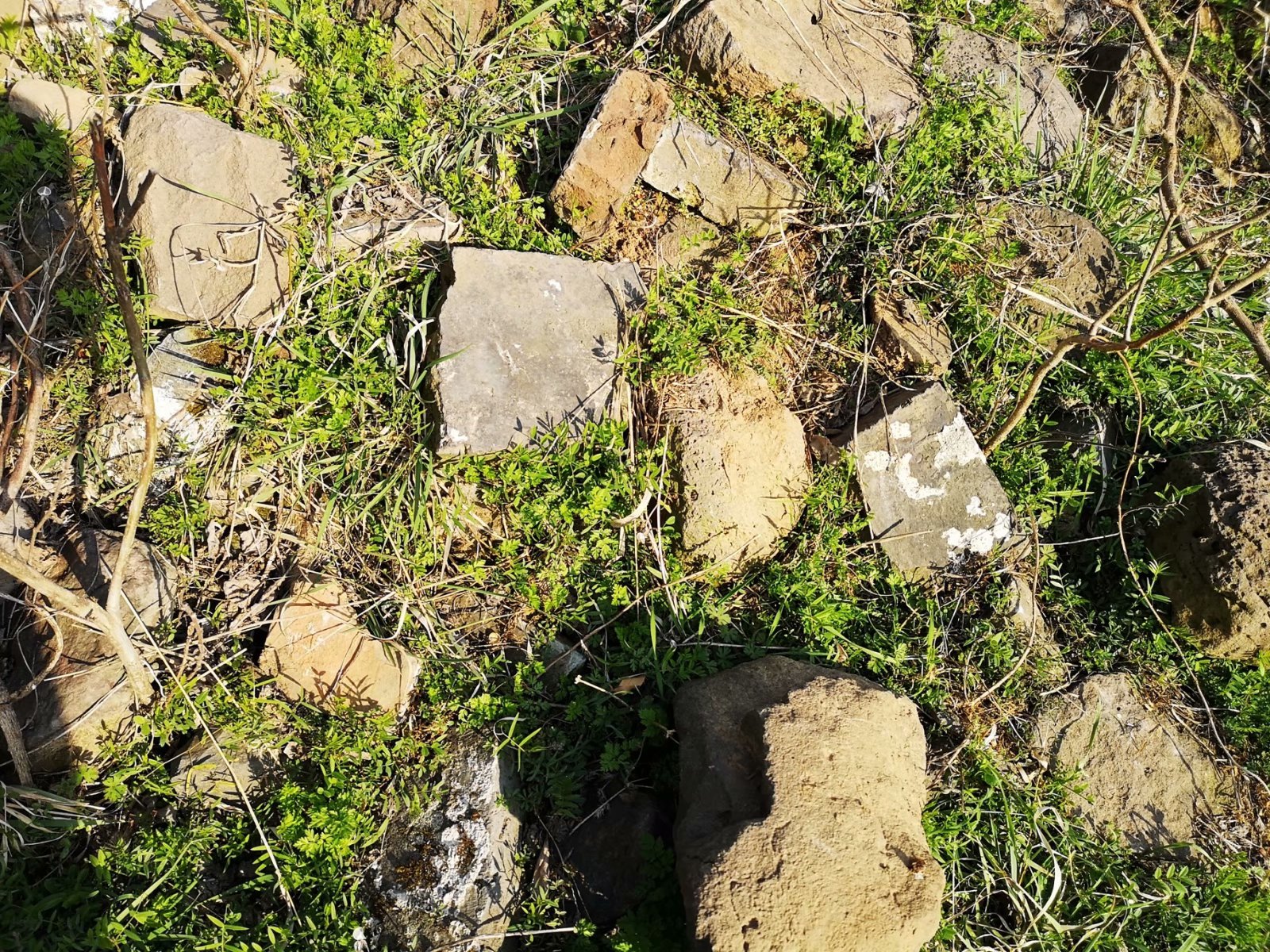 摩托周边旮旯游——探访明光法华禅庵塔