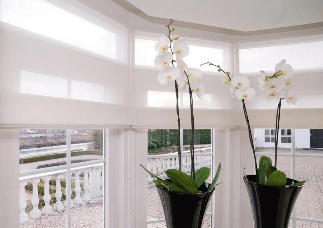 扇形罗马帘效果,日式风格的罗马帘