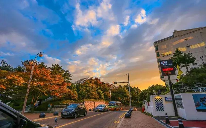 深圳这次入冬成功了吗,深圳终于进入了深秋的天气