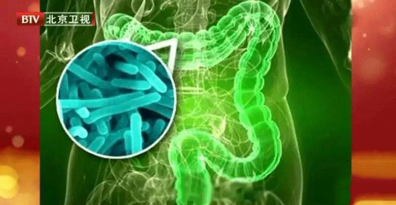 益生菌对身体调理帮助大吗,益生菌真是对肠胃有好处吗