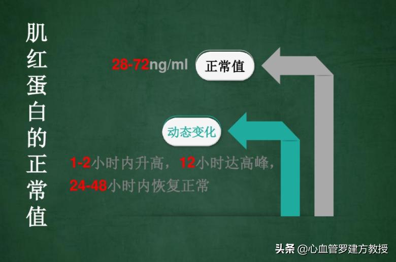 心肌三项中的myo偏高是心梗了吗,心梗三项ck7.42正常吗