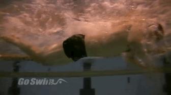 自学游泳怎样让自己游得更专业,游泳爱好者如何成为高手