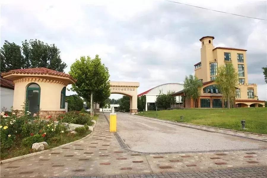 顺义大芦苇荡樱桃采摘园,顺义五大樱桃园