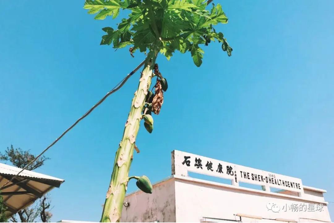 喜宝被老头打后续,喜宝喜欢石澳岛吗