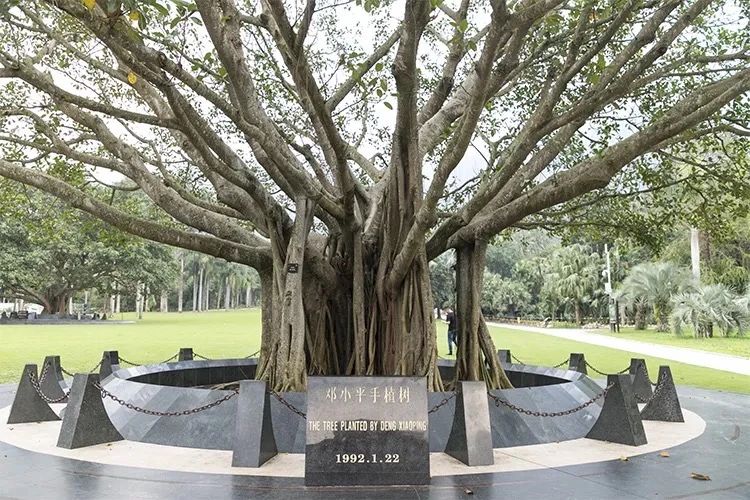 深圳吃喝玩乐两日游推荐,深圳周边游吃喝一日游推荐