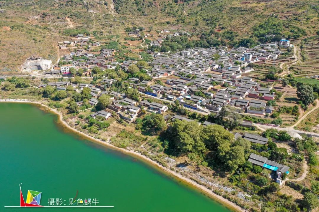 土蜂蜜取蜜全过程,土蜂蜜正确取蜜方法