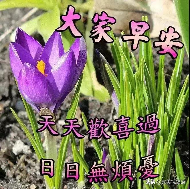 我把幸福送给你,11月快乐我把祝福送给你高清图片