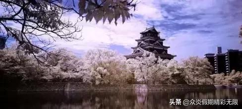 邮轮日本5天4夜游记攻略最全面,全球最豪华邮轮游日本