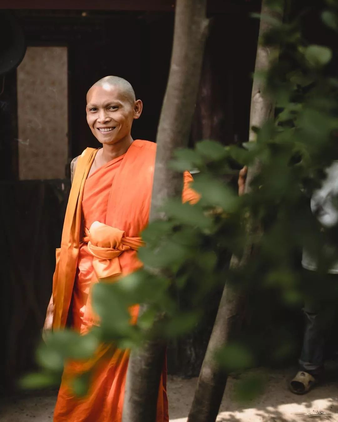 泰国去了就不后悔的地方,泰国十大坑人旅游攻略