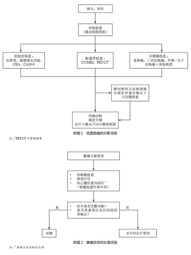 中国结直肠癌诊疗规范(2017年版)