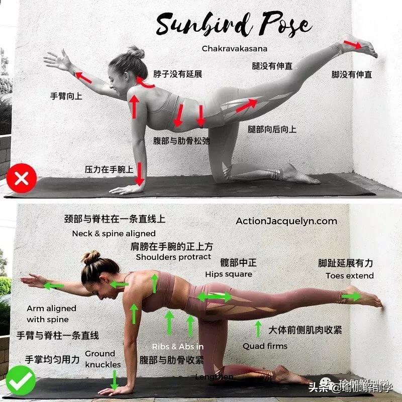 28个常见瑜伽体式,瑜伽25个正确错误动作对比