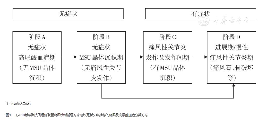 痛风及高尿酸血症基层诊疗指南（实践版·2019）
