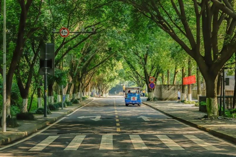 重庆最大的大学校园,重庆教学楼豪华的大学