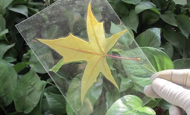 7个家庭旅行神器,亲子旅行用品必备神器