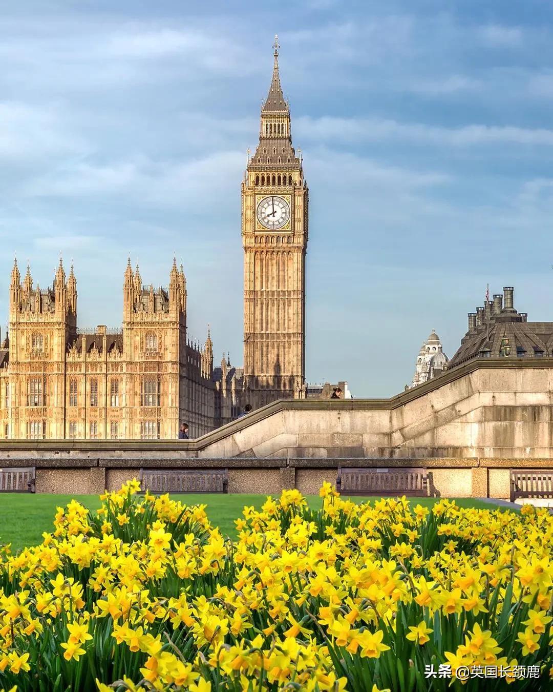 520/521：五月阳光下，伦敦依然盛放。记得常回来看看