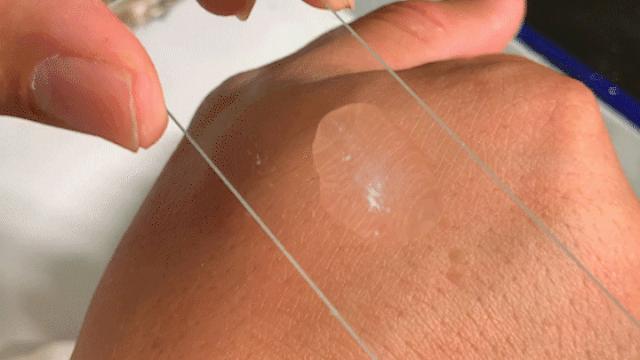 乳山生蚝科普,生蚝冷知识图片