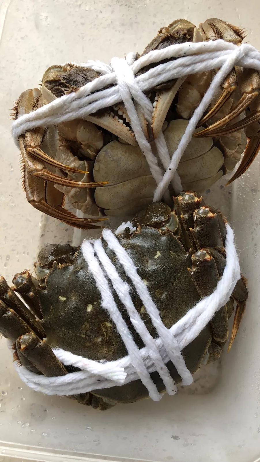 “蟹痴”说蟹王大同