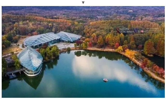 南京绝美的地方,南京有哪些浪漫唯美的地方