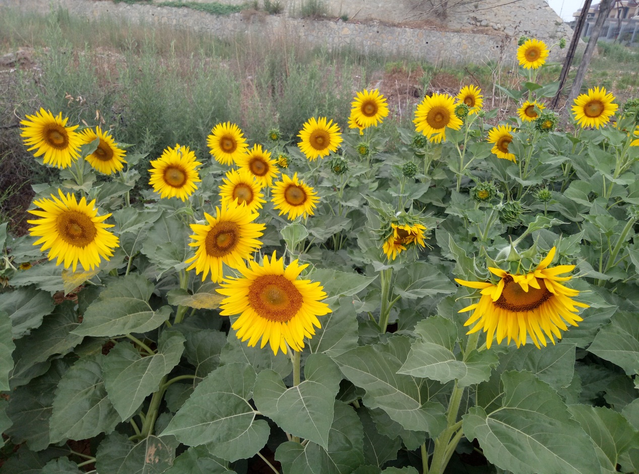 阅读感悟人生感言,阅读经典丰富人生的感受和收获