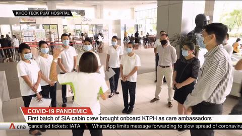 新加坡空姐现状,新加坡空姐最近情况